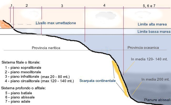 Zonazione